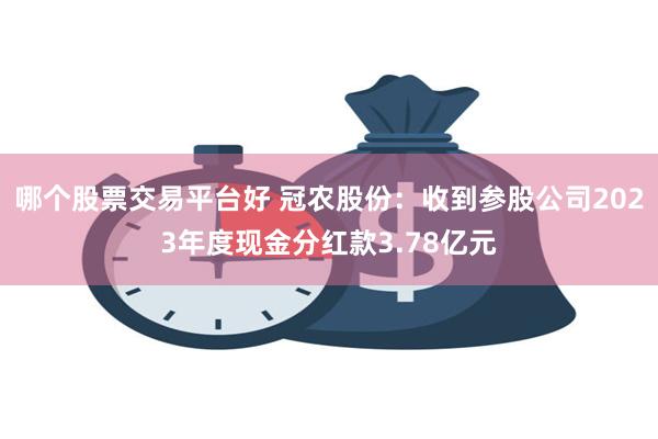 哪个股票交易平台好 冠农股份：收到参股公司2023年度现金分红款3.78亿元