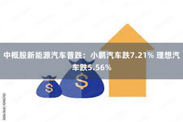 中概股新能源汽车普跌：小鹏汽车跌7.21% 理想汽车跌5.56%