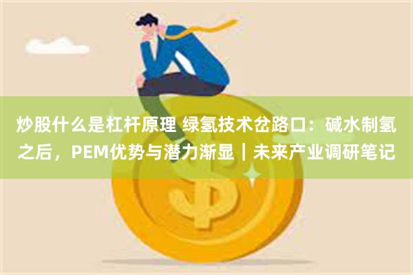 炒股什么是杠杆原理 绿氢技术岔路口：碱水制氢之后，PEM优势与潜力渐显｜未来产业调研笔记