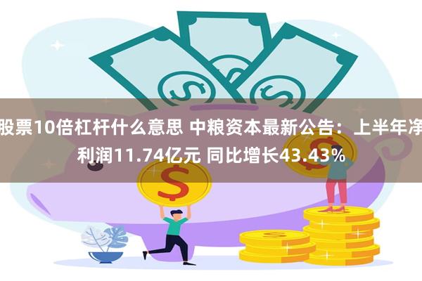 股票10倍杠杆什么意思 中粮资本最新公告：上半年净利润11.74亿元 同比增长43.43%