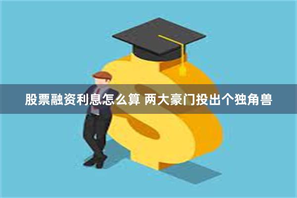 股票融资利息怎么算 两大豪门投出个独角兽