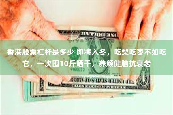 香港股票杠杆是多少 即将入冬，吃梨吃枣不如吃它，一次囤10斤晒干，养颜健脑抗衰老