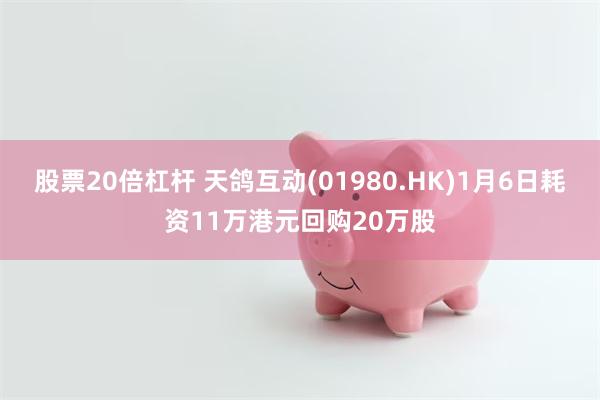 股票20倍杠杆 天鸽互动(01980.HK)1月6日耗资11万港元回购20万股