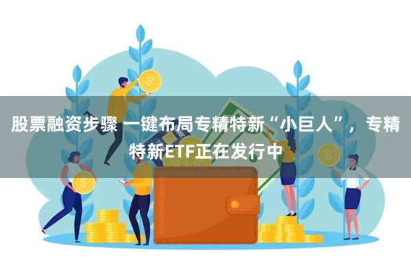 股票融资步骤 一键布局专精特新“小巨人”，专精特新ETF正在发行中