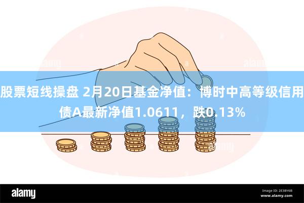 股票短线操盘 2月20日基金净值：博时中高等级信用债A最新净值1.0611，跌0.13%