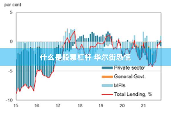 什么是股票杠杆 华尔街恐慌