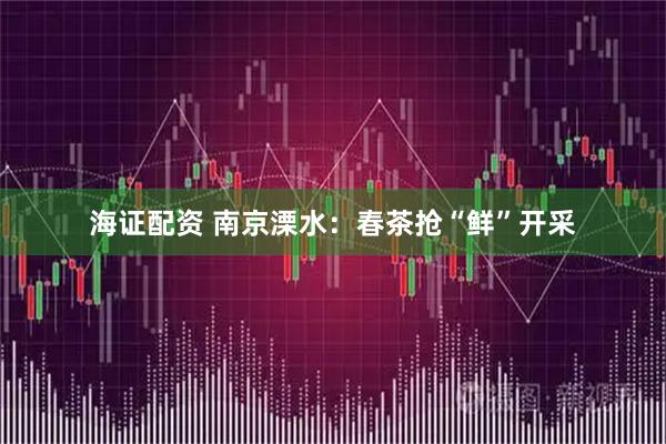 海证配资 南京溧水：春茶抢“鲜”开采