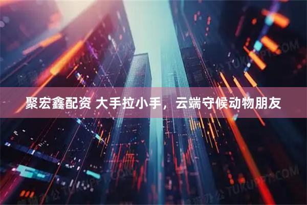 聚宏鑫配资 大手拉小手，云端守候动物朋友