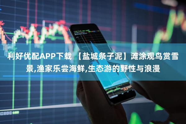 利好优配APP下载 【盐城条子泥】滩涂观鸟赏雪景,渔家乐尝海鲜,生态游的野性与浪漫