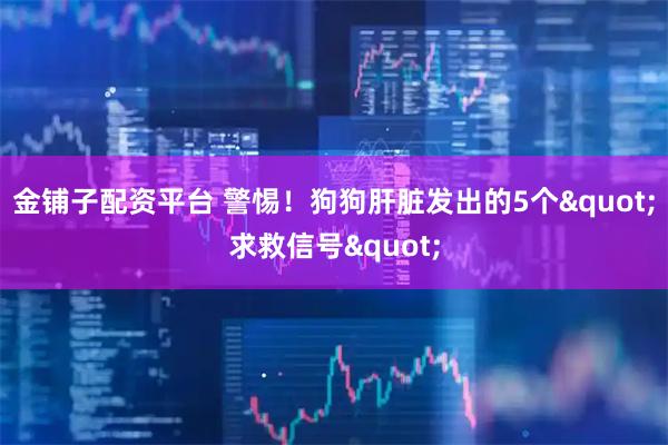 金铺子配资平台 警惕！狗狗肝脏发出的5个"求救信号"